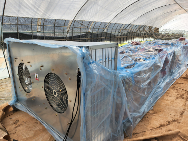 마늘·양파 차압식 건조장치 활용사진