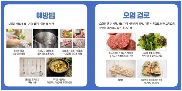 병원성대장균 주의 홍보 전단