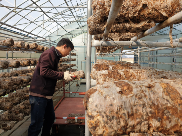 신규농업인 현장 실습 교육 사진