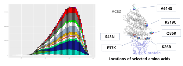 20만명 규모의 바이오빅데이터 분석과 슈퍼컴퓨터 기반의 SARS-CoV-2 구조 분석
