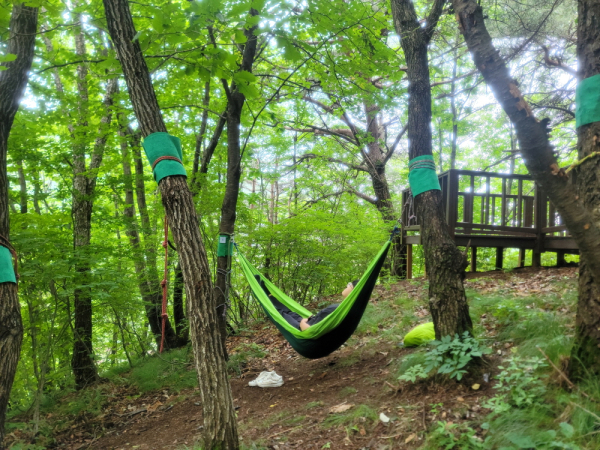 내부직원 힐링캠프(해먹명상)