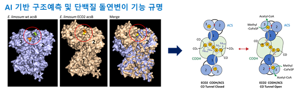 AI기반 구조예측 및 단백질 돌연변이 기능 규명