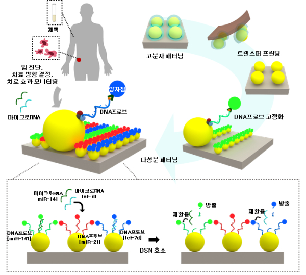마이크로RNA 다중 검출을 위한 다색 양자점 어레이 모식도