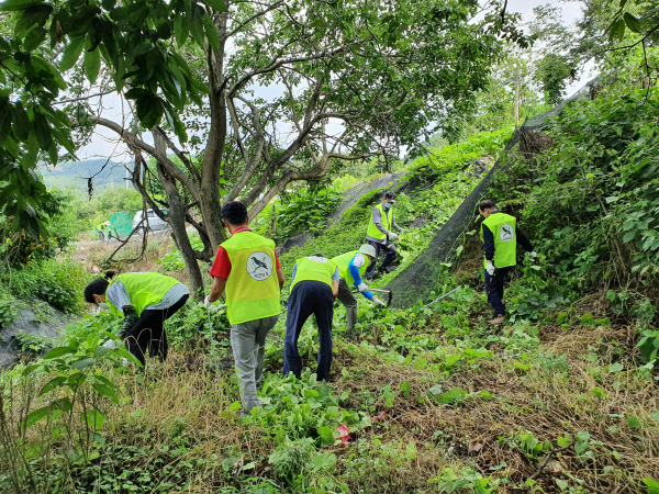 (사)자연보호중앙연맹 대전서구협의회 생태교란종 식물 제거 활동