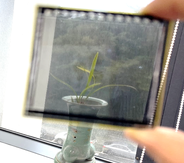 개발된 투광형 CIGS 모듈