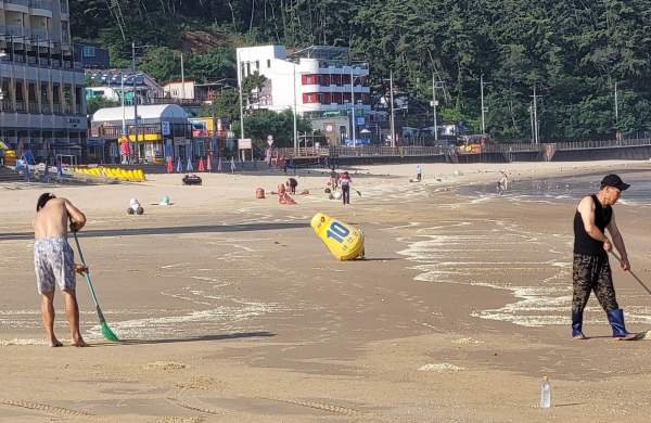 지난 22일 만리포에서 환경정화 활동을 펼치는 모습.