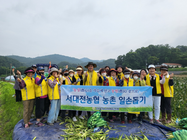 도농협동 도시민체험단 옥수수 수확 농촌일손돕기