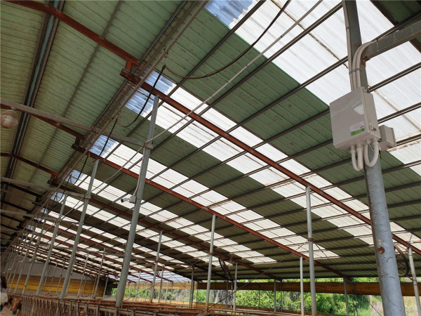 축사에 설치된 사육분석용 CCTV 및 환경 모니터링 센서