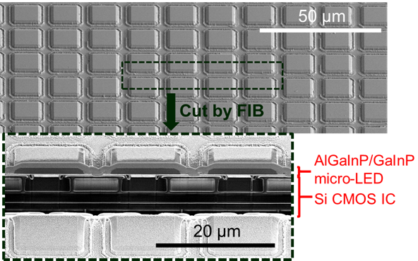 그림 1. 이번 연구에서 제작한 Si CMOS 기판상 적색 발광 다이오드 단면 주사현미경 이미지