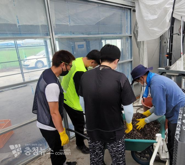 작년 농업사관학교