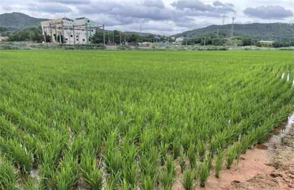 농번기 물 부족 해결을 위한 농업용수 지원