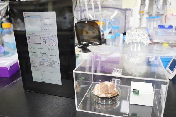 육류의 부패 정도를 측정 중인 전자 코 모습