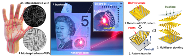 무작위 형태의 블록공중합체 자기조립 패턴을 적층해 지문 모양의 나노 패턴 형성과정을 보여주는 모식도