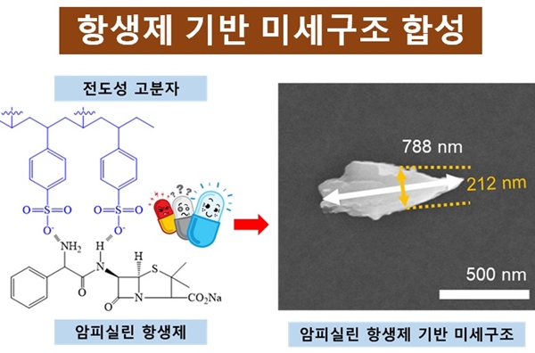 전도성 고분자와 항생제 혼합 미세구조