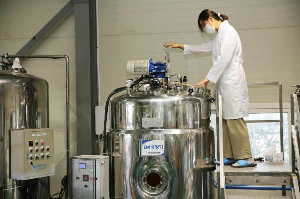 유용미생물 배양 모습.