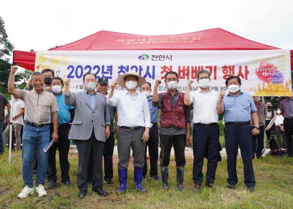 19일 천안시 청당동 오종수 농가 논에서 열린 올해 첫 벼베기 행사 진행