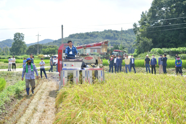 광시면 서초정리 주우선 씨 논(6700㎡)에서 최재구 군수