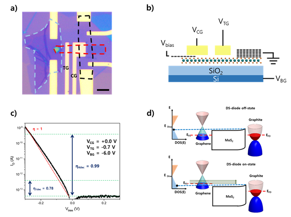 연구진이 개발한 그래핀 이종접합 다이오드 소자