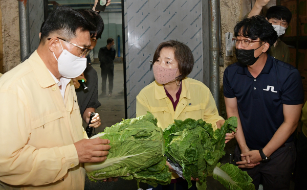 무안군 소재 민간창고 정부비축 배추 보관현황 점검 사진 * 한국농수산식품유통공사 김춘진 사장(좌측1번째), 배옥병 수급이사(가운데)