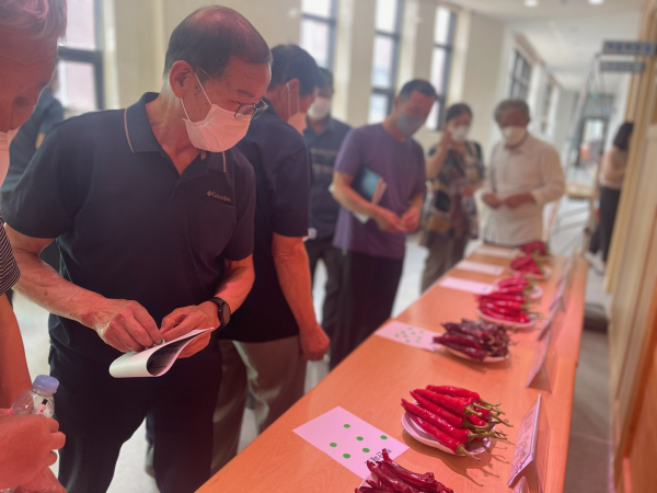 노지채소분야 평가회 사진