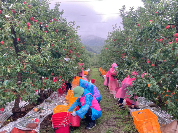 지난 30일 전북 무주군 무풍승지 농촌체험마을을 찾아 농촌체험활동과 일손돕기 모습