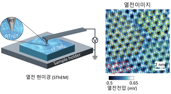 주사탐침 열전현미경의 개념도와 열전이미지 예