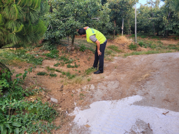 재해대비 시설하우스 점검 모습