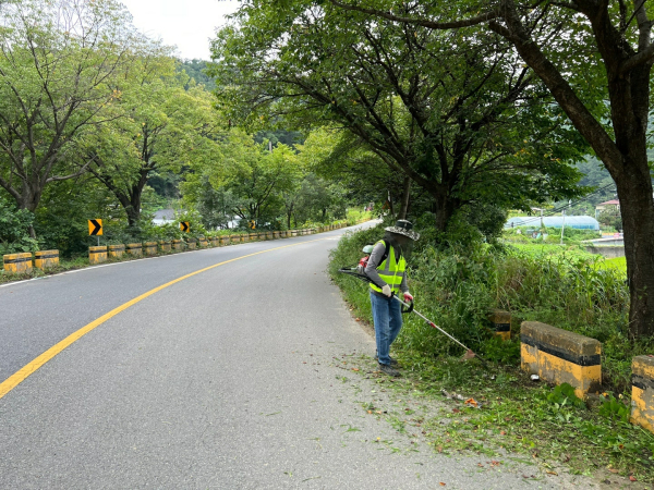 도로변 제초작업 모습