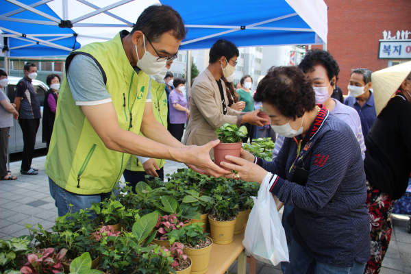 반려식물 나누기 (사회공헌 활동 진행 모습)
