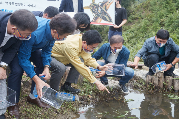 물장군 방사 행사 장면