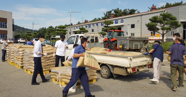 16일 서산시농업기술센터에서 채종된 IRG 종자를 지역 농가에 보급하고 있다