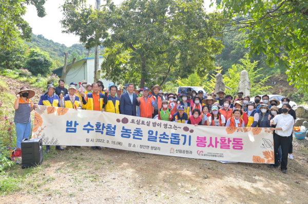 밤 수확철 농촌 일손돕기 자원봉사 단체사진