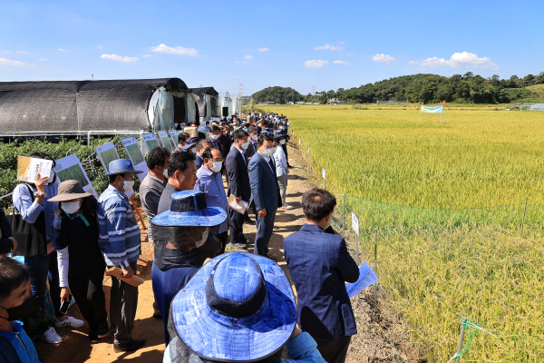 2022년도 벼농사 종합평가회 개최