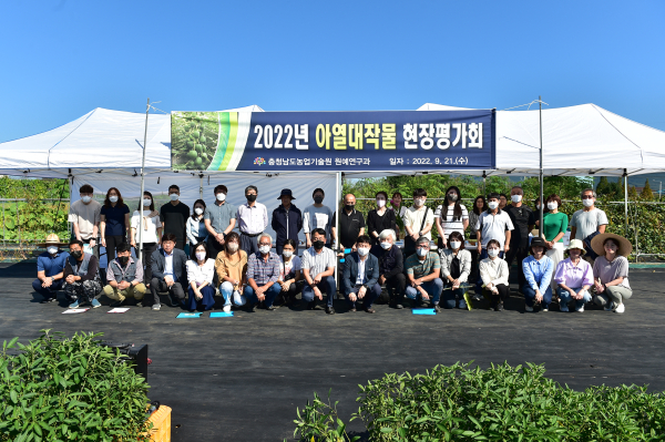 2022년 아열대작물 현장평가회