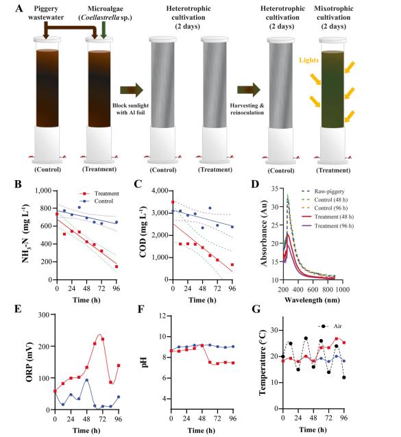 돼지 축산 폐수처리 공정 모식도 및 물리화학적 폐수 변화 모니터링 설명도