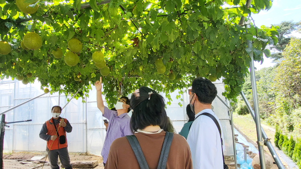 안동파파야 농장에서 강소농 정보유통 마케팅 현장 교육을 실시했다