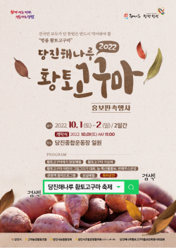 황토고구마 축제 홍보물<br>