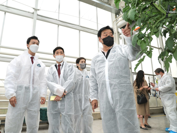 파라과이 통상교섭추진단 태안 스마트팜 방문