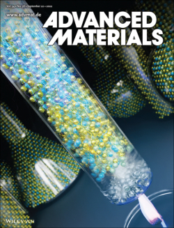 한밭대학교-KAIST 공동연구팀 연구논문 게재 학술지 표지