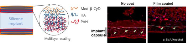 ‘Biomacromolecules’ 논문 내 연구 결과