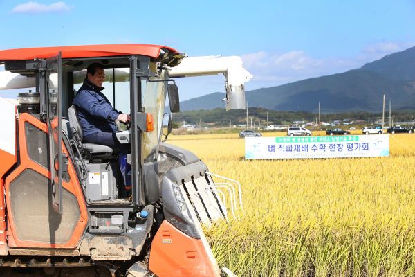 직파재배 수확 현장 평가회