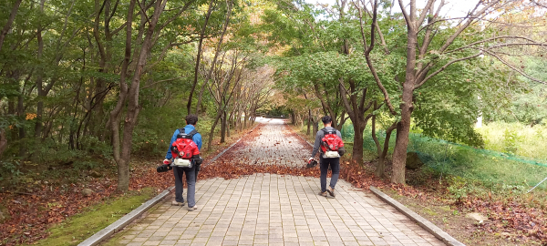 대둔산도립공원 작업 사진