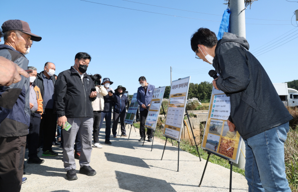 지난 13일 소원면 법산리에서 진행된 벼농사 종합평가회 모습.