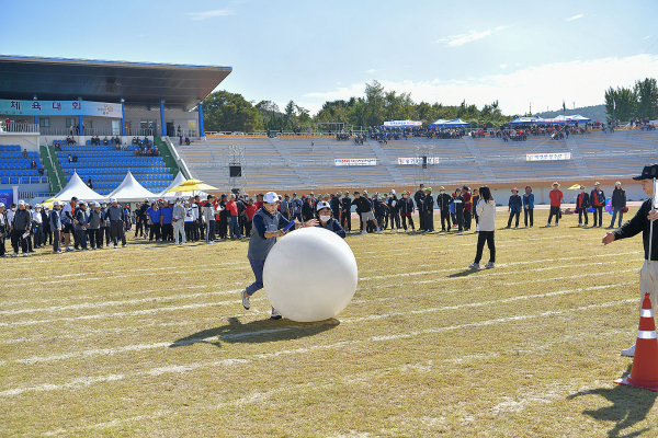 공주시 제14회 시민화합체육대회 진행 모습