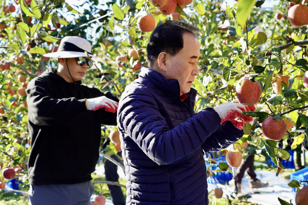 노사합동 농촌 일손돕기 봉사활동