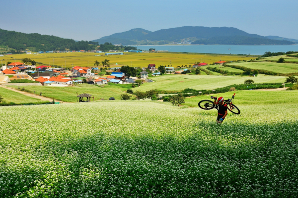 제16회농촌경관사진 공모전 최우수상_선학동 마을의 가을(유형전)_전남 장흥군 선학동