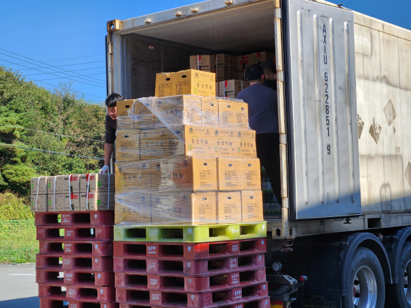 지난 16일 수출길에 오른 홍성마늘