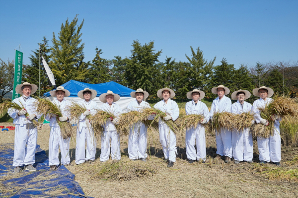 아산시 ‘에코 농(農) 파크’ 예정지서 ‘전통 벼 베기’ 행사 진행 모습
