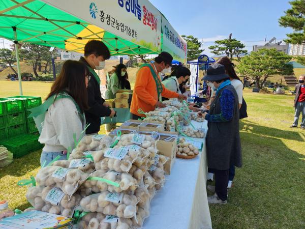 홍주성지를 찾은 순례객을 대상으로 홍성마늘 홍보 및 판매 행사 진행 모습