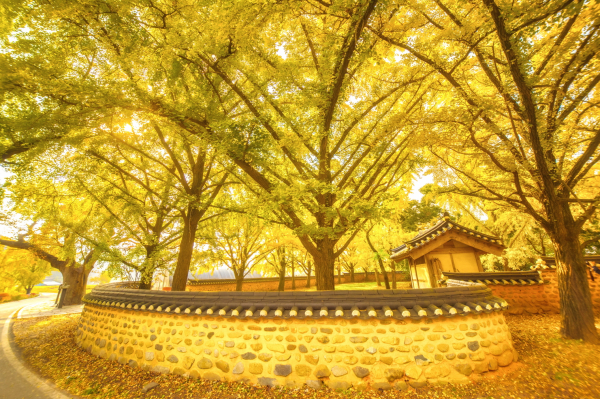 청라은행마을 사진